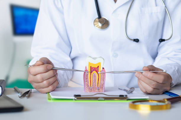 Best Emergency Dentist for Knocked-Out Tooth in Oak Hills, OR